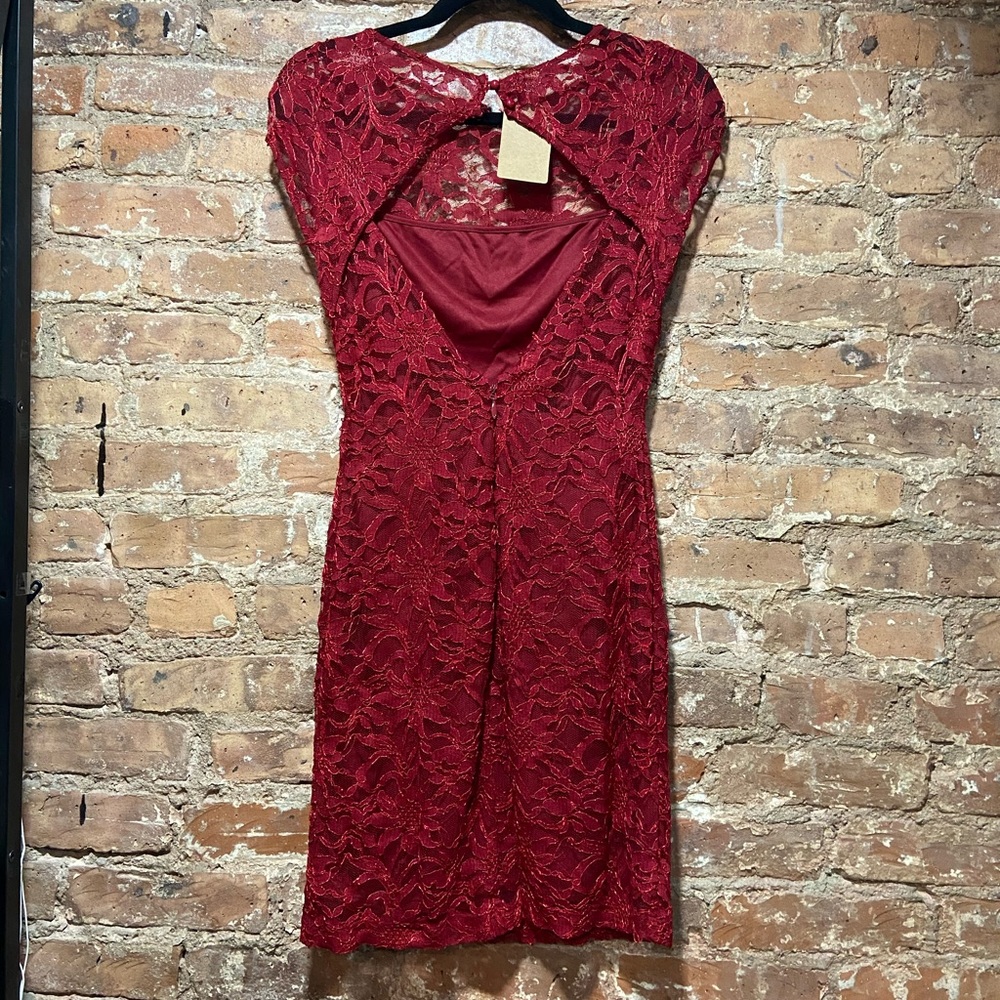 #134 Lace Fitted Dress View 5